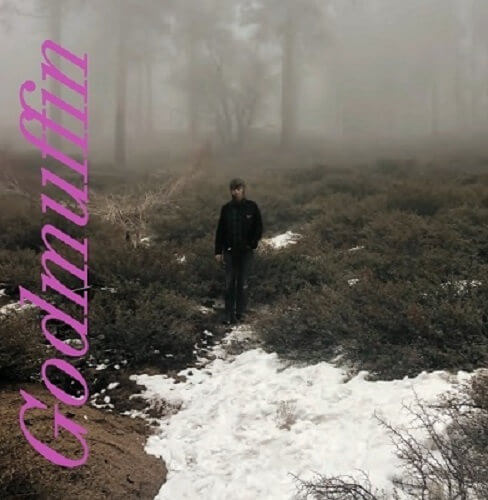 Mike Viola - Godmuffin album cover
